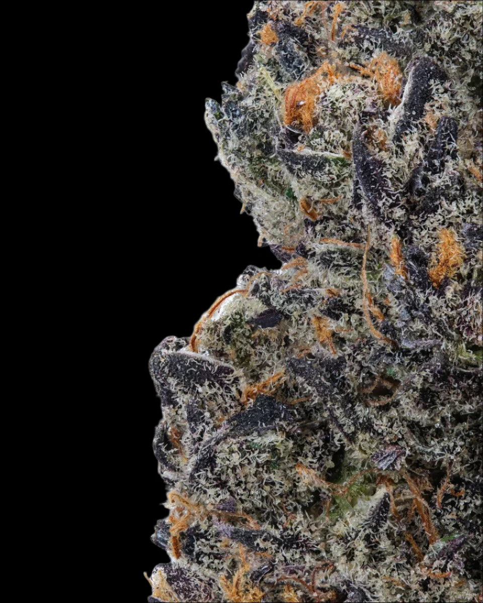 Tropical Cherry THCA