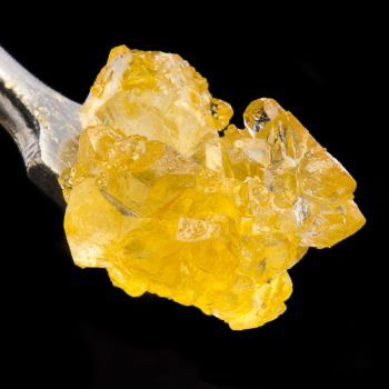 THCa Diamond and Sauce Gelato  Price: $34.99 (1g)